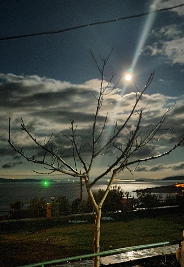 Mordogan Tas Konakta Doga Ve Deniz Tatili Villa Karaburun  Esterno foto